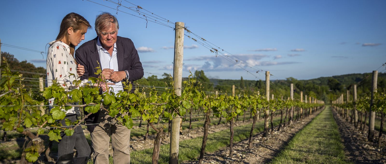 Vineyard tour with Hampshire Fair